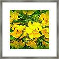 Buttercups  Party Framed Print