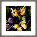 Butterflies In The Garden Framed Print