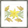 Butterfly And Daffodil Horizontal Panel - Art By Jen Montgomery Framed Print