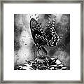 Butterfly And Flower - Black And White Framed Print