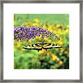 Butterfly Bungalow Swallowtail Framed Print