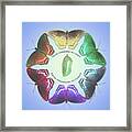 Butterfly Carousel Framed Print