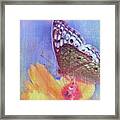 Butterfly Kisses Framed Print