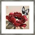Butterfly Landing On Peony Flower Framed Print