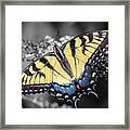 Butterfly Palette Framed Print
