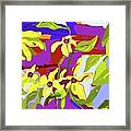 By The Garden Wall Framed Print