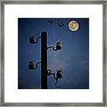 By The Light Of The Moon Framed Print