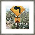 Cacti Cactus Collection - 5 Mph Framed Print
