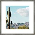 Cacti Cactus Collection - Saguaro Tucson Framed Print