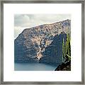 Cactus At The Cliff In Tenerife Framed Print