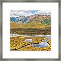 Cajas Mountains And Flora Framed Print