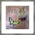 California Butterflies Framed Print