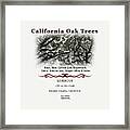 California Oak Tree Species Framed Print