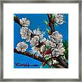 Calliope On Plum Blossoms Framed Print