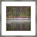 Canada Goose On A Misty Swift River Morning Framed Print