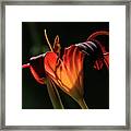 Candle In The Wind Framed Print