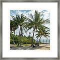 Cape Florida Lighthouse And Palm Trees On Key Biscayne Framed Print