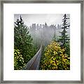 Capilano Suspension Bridge Over Rainforest, Vancouver, British Colombia, Canada Framed Print