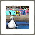 Capitola And The Seagull Framed Print