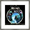 Captured And Preserved In Camera And Fishbowl Framed Print