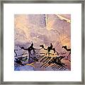Caravan Of Camels In The Desert Framed Print
