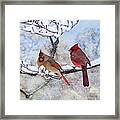 Cardinals In The Snow Framed Print