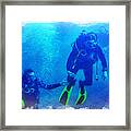 Caribbean Sea Divers Cozumel, Mexico Framed Print