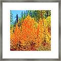 Carson River Fall Colors Framed Print