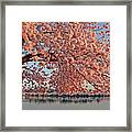 Cascade Of Pink Framed Print