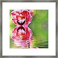 Cascading Orchids Reflecting By Kaye Menner Framed Print