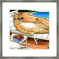 Cat 374 Mouse Beach Framed Print