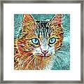 Cat 685 Turquoise Orange Framed Print