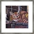 Is Your Spirit Animal A Cat Framed Print