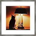Cat Lamp Framed Print