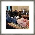 Cat Participation At Happy Hour. Framed Print