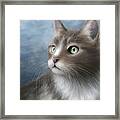 Cat Portrait 682 Framed Print