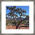 Cathedral Rock In A Natural Frame By Tl Wilson Photography Framed Print