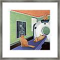 Cat Scan Framed Print