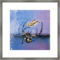 Caught In The Web Framed Print