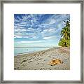 Cece The Beach Cat Framed Print