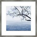 Celestite Framed Print