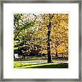 Central Park Autumn No.2 Framed Print