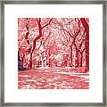 Central Park In Pink Framed Print