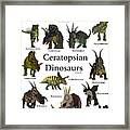 Ceratopsian Dinosaurs Framed Print