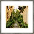 Charleston Garden Walkway - View 8 Framed Print
