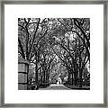 Charleston Waterfront Park Walkway, S.c, Black And White. Framed Print