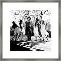 Charlie Chaplin Frolicking With Dancing Nymphs Framed Print