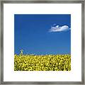 Chatting With A Cloud Framed Print