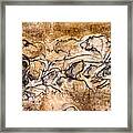 Chauvet Lions And Bison Framed Print