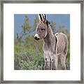 Checking Out The World Framed Print